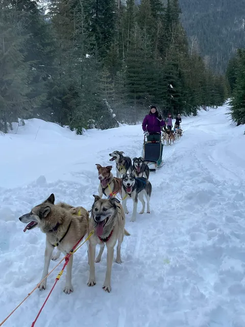 Revelstoke Dogsled Adventures