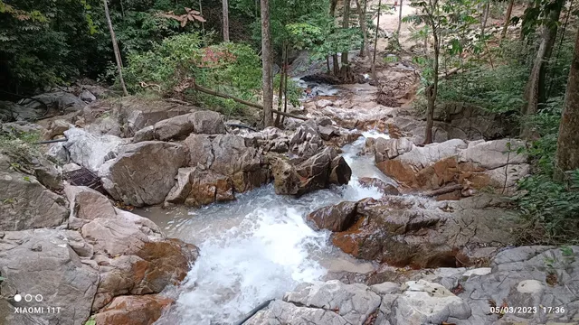 Lenggeng Forest Reserve