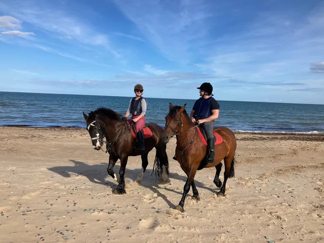 Shrule equestrian centre, Shrule Pet Farm