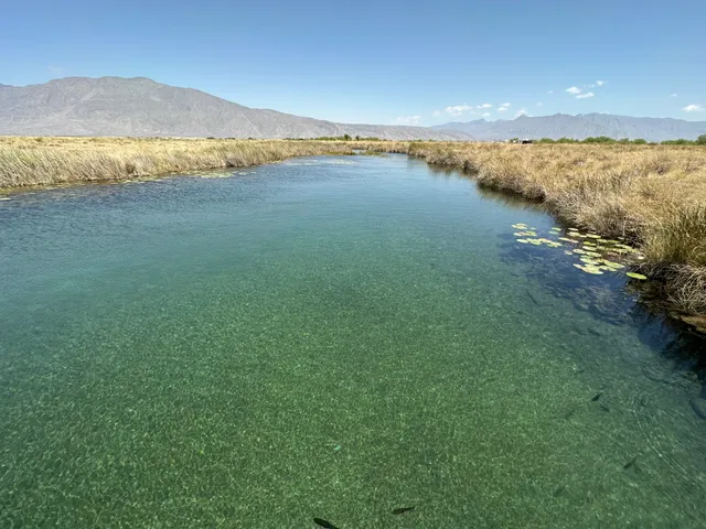 Rio mezquites, cuatro ciénegas, Coahuila.