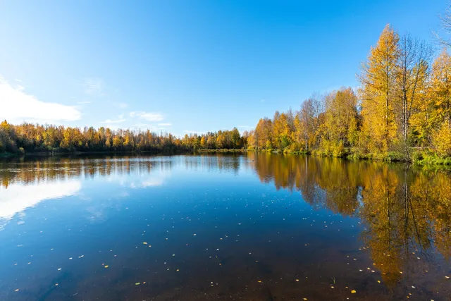 Taku Lake Park North