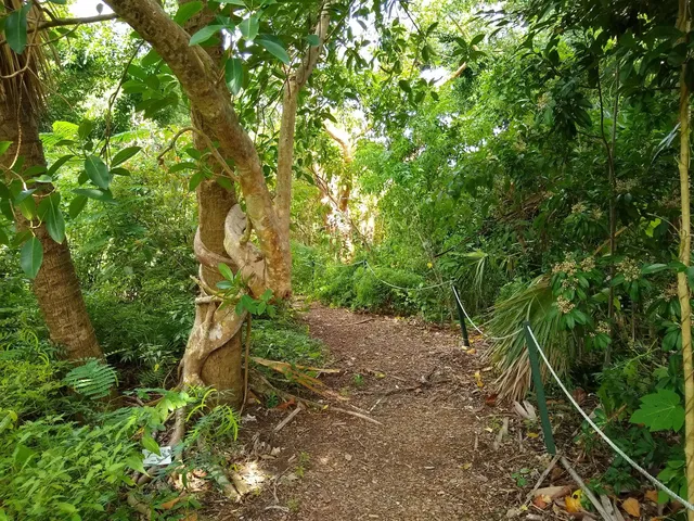 Otter Mound Preserve