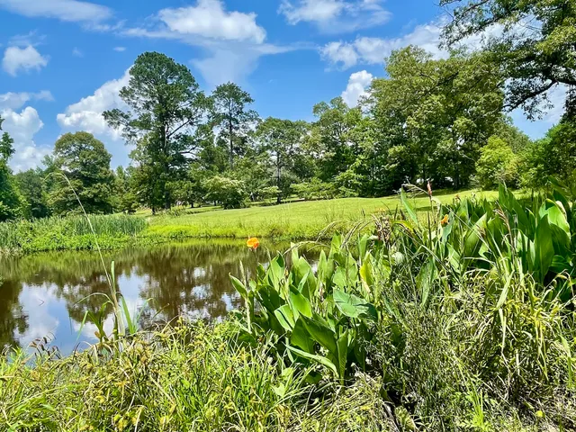 The Reservation Golf and Country Club