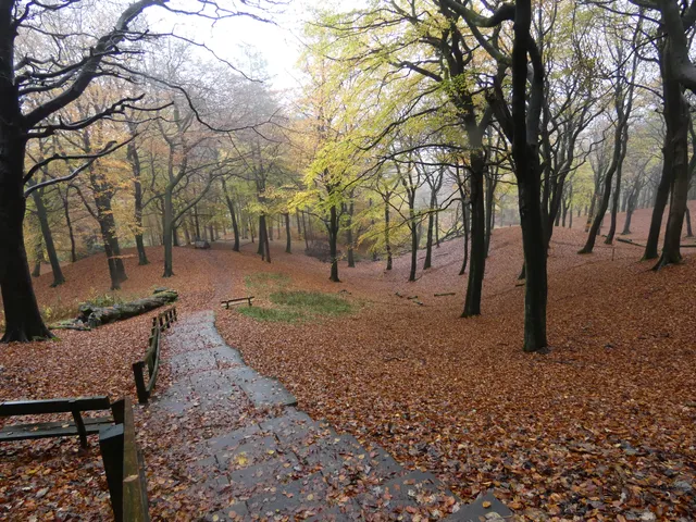 Tandle Hill Country Park
