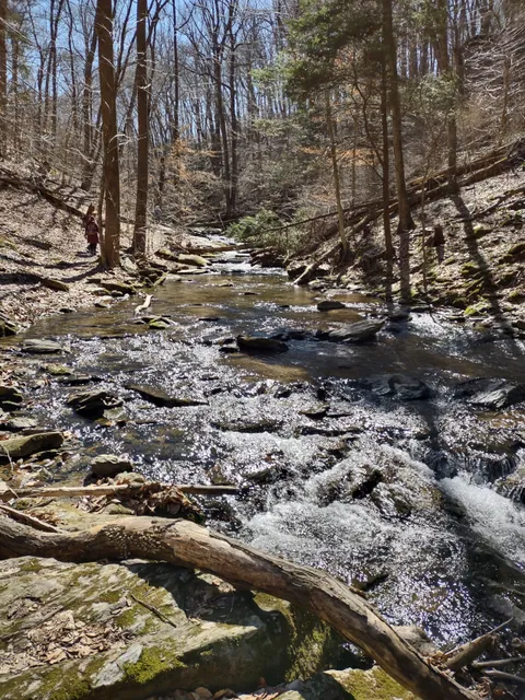 Steinman Run Nature Preserve