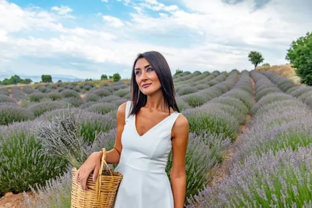 Paradise Lavender Farm