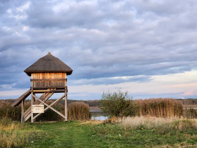 Naučná stezka Bohdanečský rybník