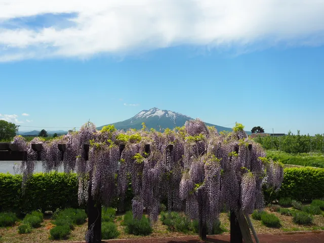 Karaori Gozen Historic Park