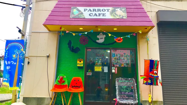 鳥カフェ PARROT CAFE