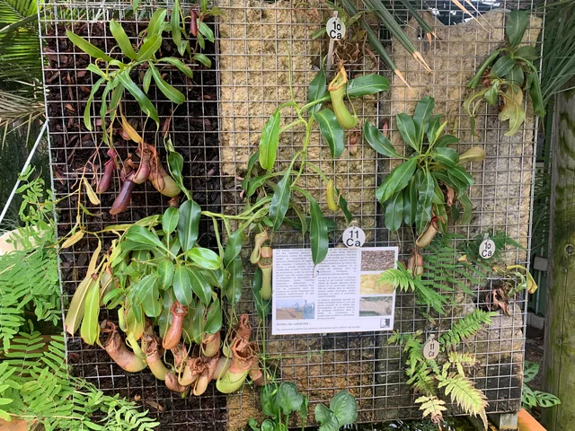 Botanical Garden Greenhouses