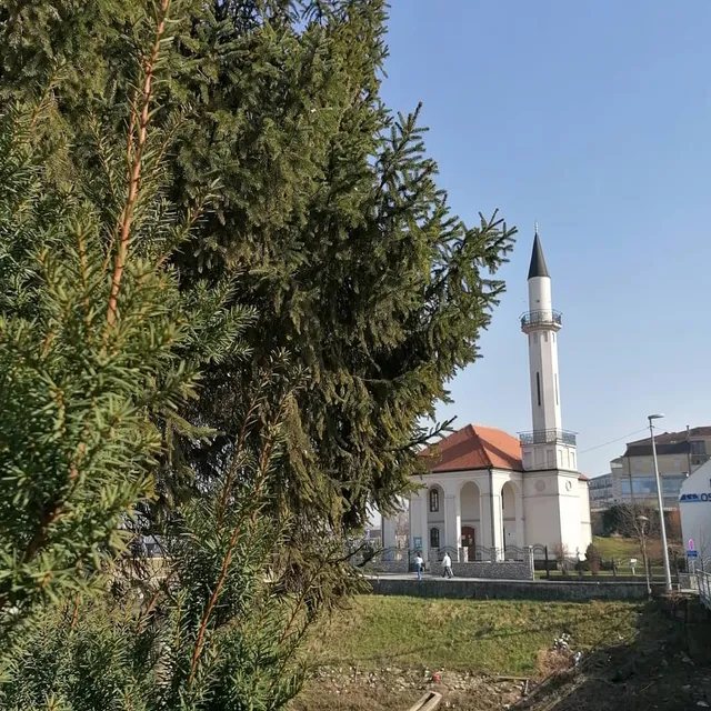 Atik-Savska džamija