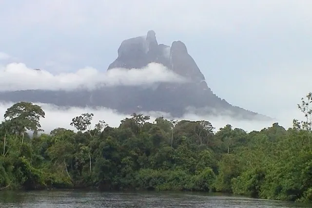 Pico da Neblina National Park
