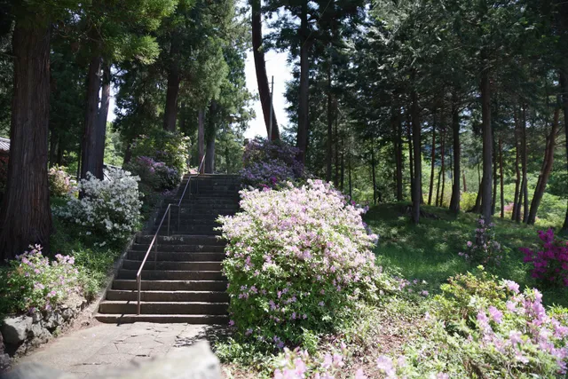 photo-2