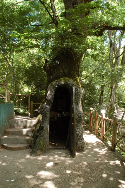 Kutaisi Botanical Garden