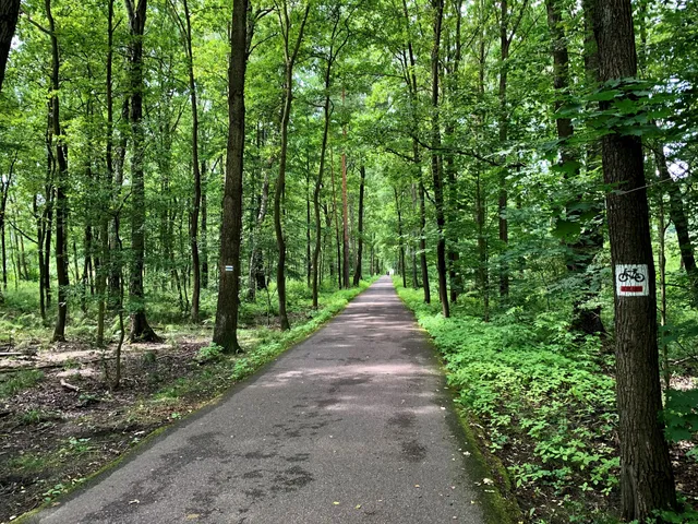 Katowice Forest Park