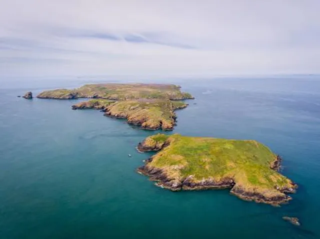 Skomer Island