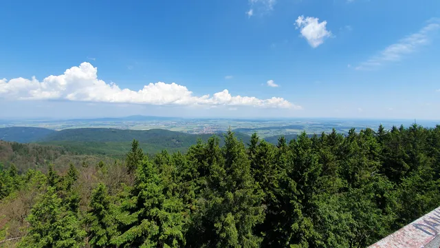 Popielak 856 m n.p.m.