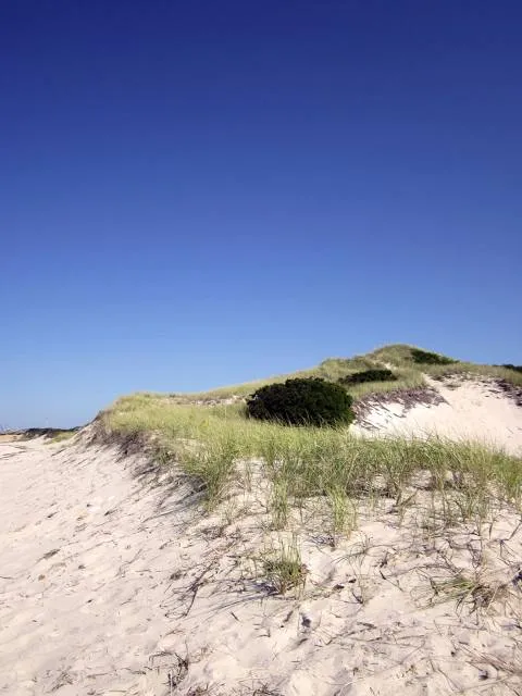 Chapin Memorial Beach