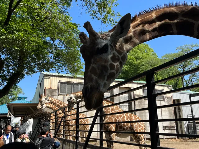 Utsunomiya Zoo Amusement park