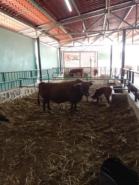 Granja Interactiva Chantlalcalli