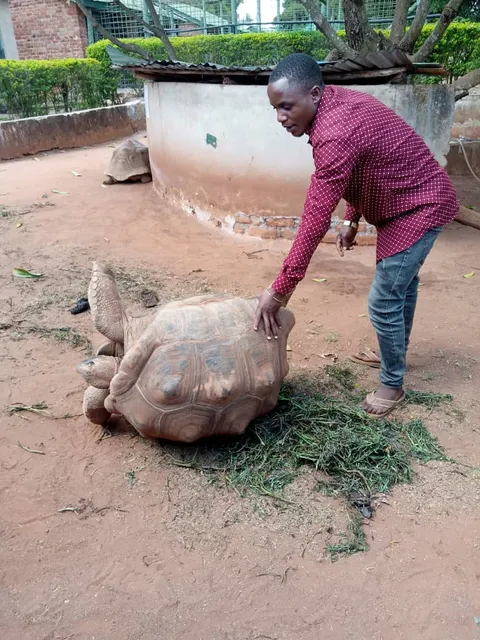 Lugari Min zoological garden