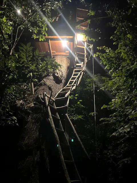 la casa sull'albero il mirtillo
