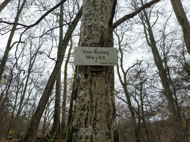 Ruine Monsberg
