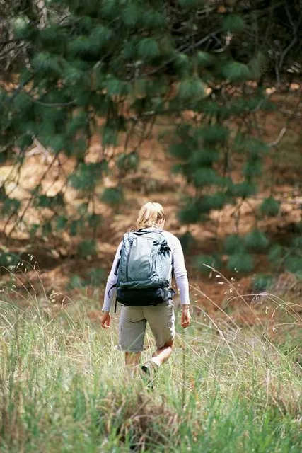 Lakeside Forest Wilderness Area