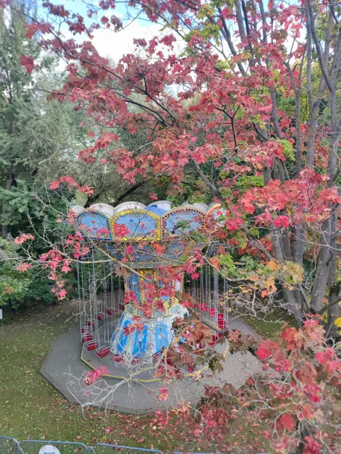 Attraktsiony V Parke "Severnoye Tushino"