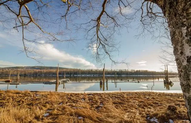 Nordre Øyeren naturreservat