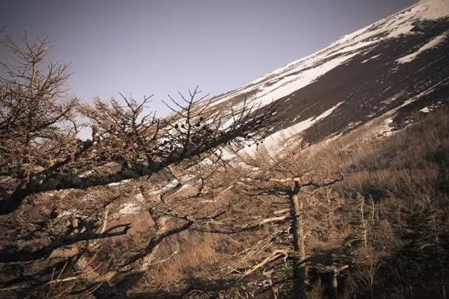 Quindaro Ruins Overlook Structure