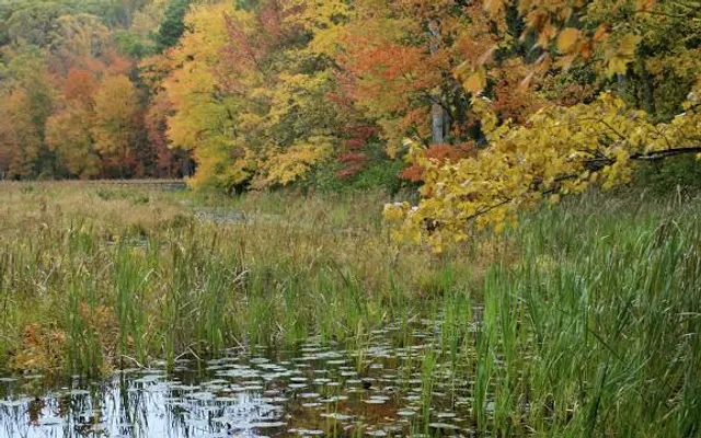 Pocahontas State Park