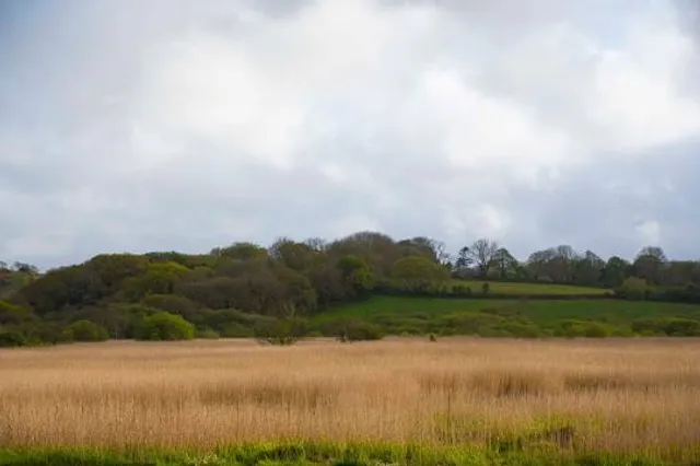 Rhos Wdig / Goodwick Moor Nature Reserve