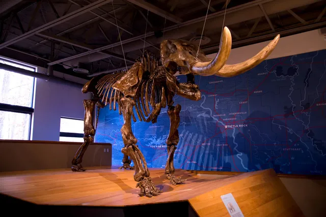 Mid-America Science Museum