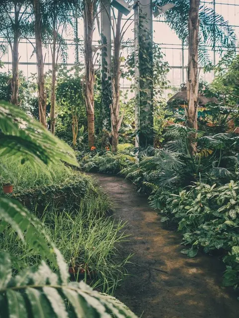 Tropical hall | Balinese garden