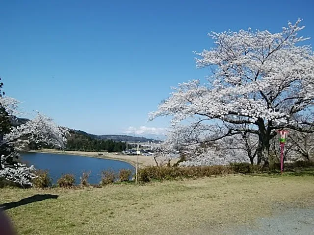 Oyama Park