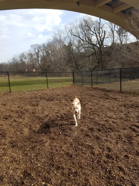 Kent Dog Park