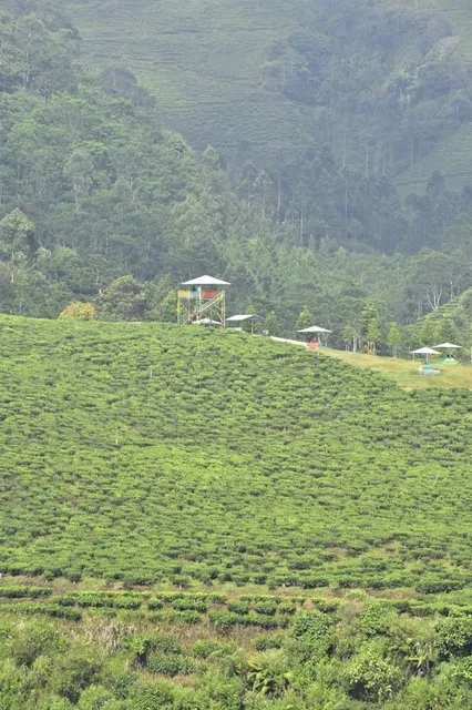 Agro Tourism Kaligua