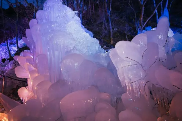 Subzero Forest (Hyotenkan no Mori)