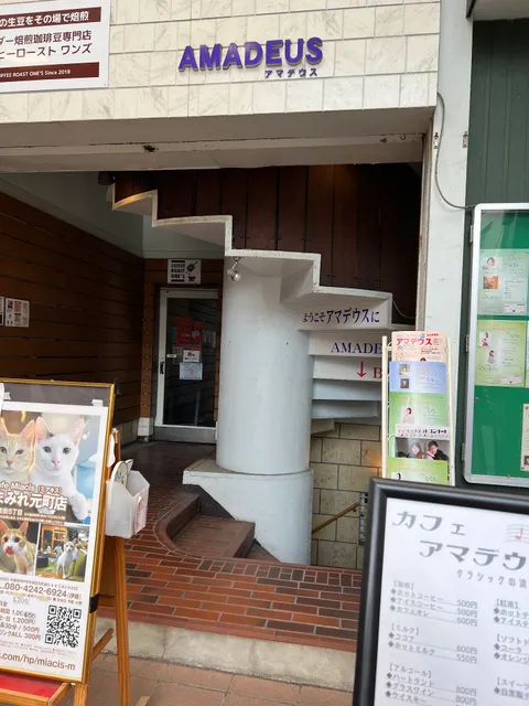 猫カフェ miacis ねこまみれ元町店
