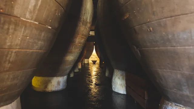 Torres Filoso – Bodega Familiar Ecológica de Tinajas en Villarrobledo