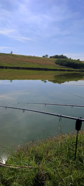 Balta Black Lupșanu 2 & 3