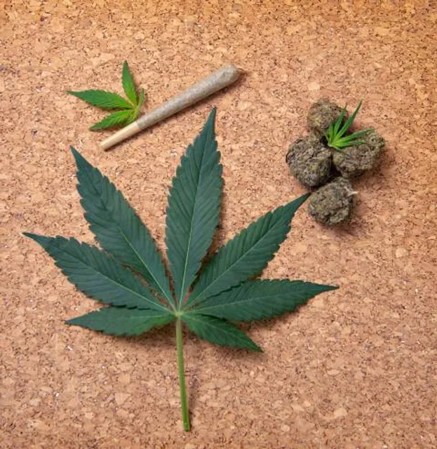 Virreynal Museum Zinacantepec