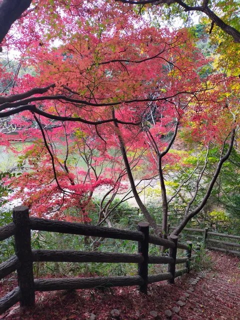 Kawage Chominnomori Park