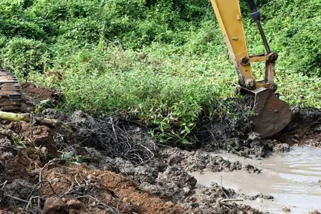 שמורת נחל צלמון