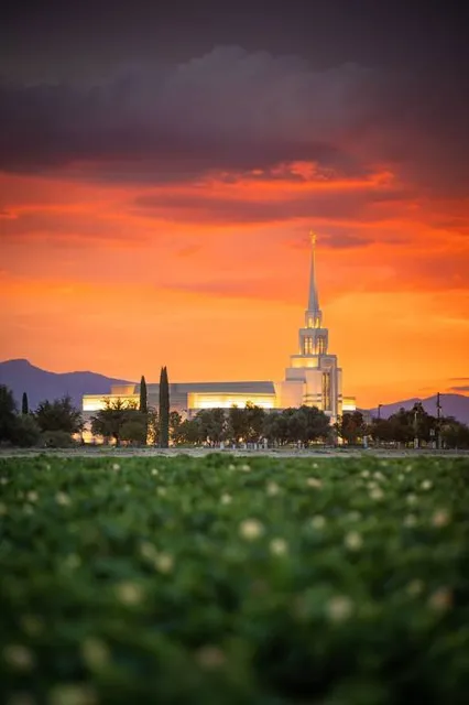 The Gila Valley Arizona Temple