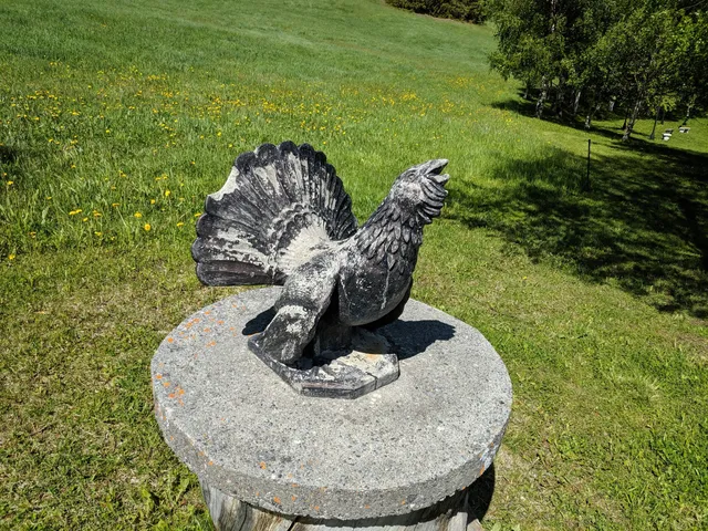 photo-2
