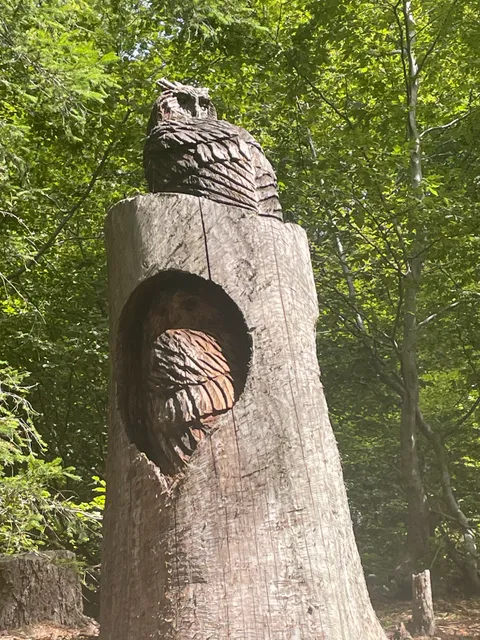 Pian delle Betulle - Alpe di Paglio