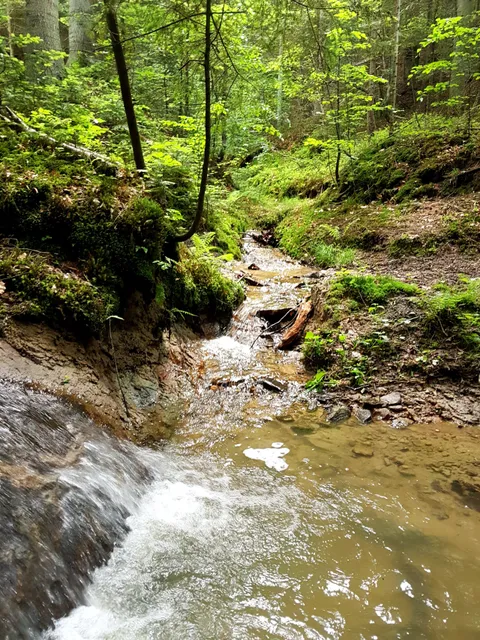 Wiśnicko – Lipnicki Park Krajobrazowy