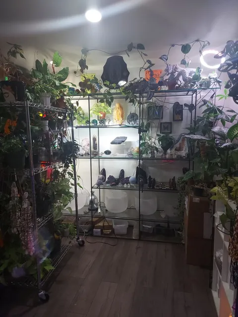 Crystal Love - Metaphysical & Plant Store